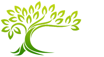Usługi Leśne Holeksa Grzegorz